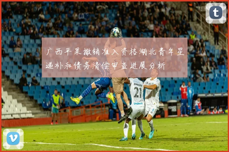 广西平果撤销准入资格湖北青年星递补和债务清偿审查进展分析